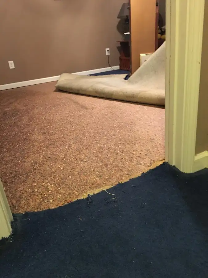 Carpet pad removal revealing water damage during Water Mitigation Services in Metropolis