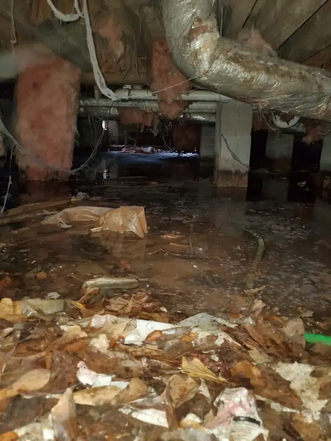 Crawl space flood assessment for Leak Detection & Repair in Metropolis