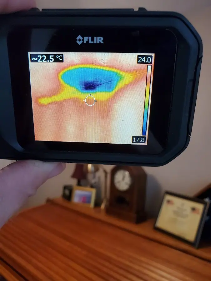 Thermal imaging inspection for water damage in Metropolis